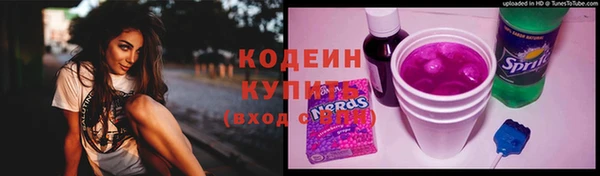 амф Гусиноозёрск
