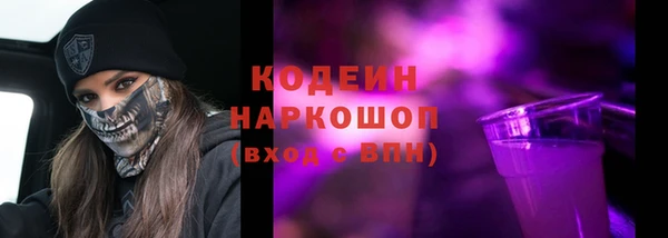 амф Гусиноозёрск