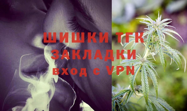 a pvp Гусев