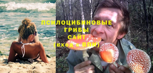 амф Гусиноозёрск