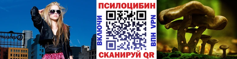 Псилоцибиновые грибы Psilocybe  Купить  Солигалич 